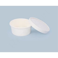 Kishar 250 ML Round Disposable Containers Box With Lids